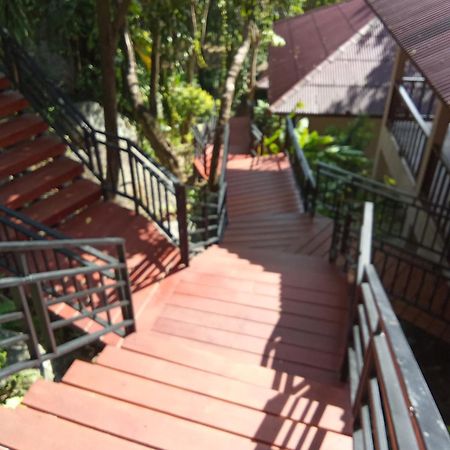 Pawpaw Resort Ламаи-Бич Экстерьер фото